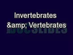 Invertebrates & Vertebrates