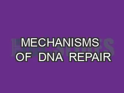 MECHANISMS  OF  DNA  REPAIR