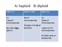 A: haploid	B: diploid