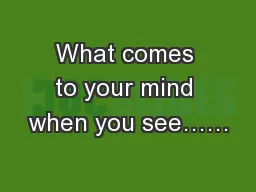 What comes to your mind when you see……