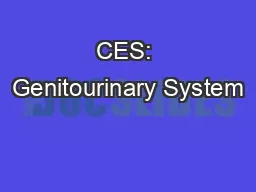 CES: Genitourinary System