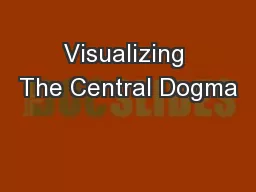 Visualizing The Central Dogma