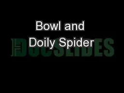 Bowl and Doily Spider