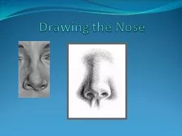 Drawing the Nose