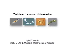 Trait-based models of phytoplankton