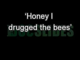 ‘Honey I drugged the bees’
