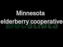 Minnesota elderberry cooperative