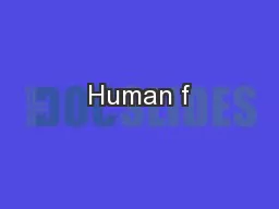 Human f