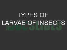 TYPES OF LARVAE OF INSECTS