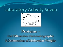 Laboratory Activity Seven