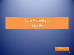 Lab Activity 5