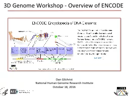 3D Genome Workshop - Overview of ENCODE