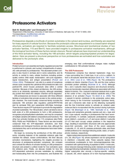 Molecular Cell Review Proteasome Activators Beth M