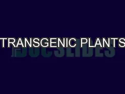 TRANSGENIC PLANTS