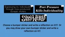 Choose a bumper sticker and write a reflection on it!!!  Or