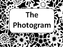 The Photogram