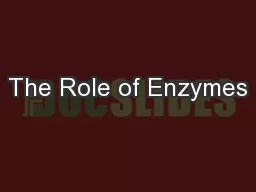 The Role of Enzymes