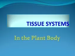 TISSUE SYSTEMS
