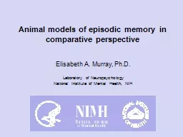Animal models of episodic memory in comparative perspective