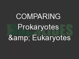 COMPARING Prokaryotes & Eukaryotes