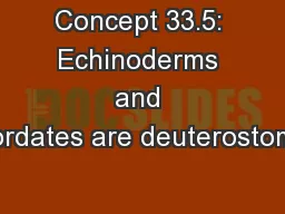 Concept 33.5: Echinoderms and chordates are deuterostomes