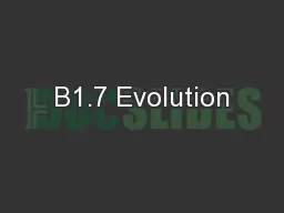 B1.7 Evolution