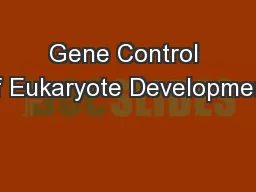 Gene Control of Eukaryote Development