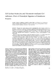 Cell Surface Molecules and Fibronectinmediated Cell Ad