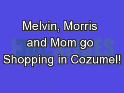 Melvin, Morris and Mom go Shopping in Cozumel!