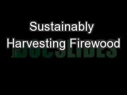 Sustainably Harvesting Firewood