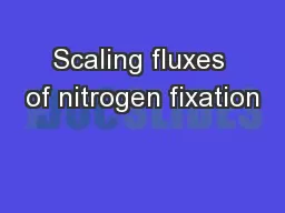 Scaling fluxes of nitrogen fixation