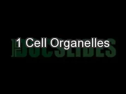 1 Cell Organelles