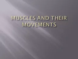 Muscles and Their Movements