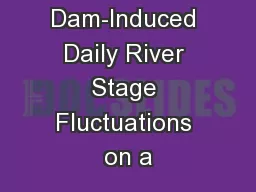 Effects of Dam-Induced Daily River Stage Fluctuations on a