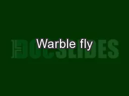 Warble fly