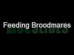 Feeding Broodmares
