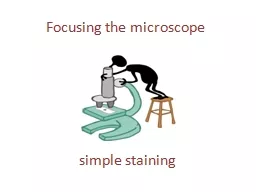 Focusing the microscope