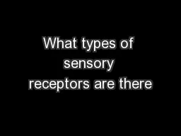 What types of sensory receptors are there