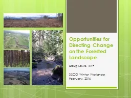 Opportunities for Directing Change on the Forested