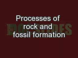 Processes of rock and fossil formation