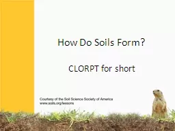 How Do Soils Form?