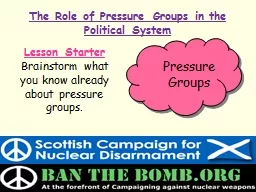 The Role of Pressure Groups in the Political System