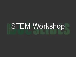 STEM Workshop