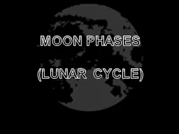 M MOON PHASES