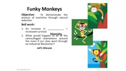 Funky Monkeys
