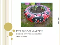 The school garden