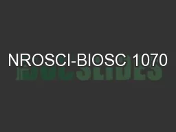 NROSCI-BIOSC 1070