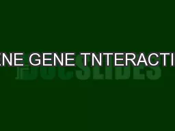 GENE GENE TNTERACTION