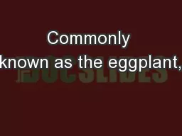 Commonly known as the eggplant, 