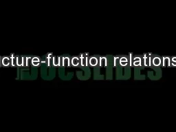 Structure-function relationship: